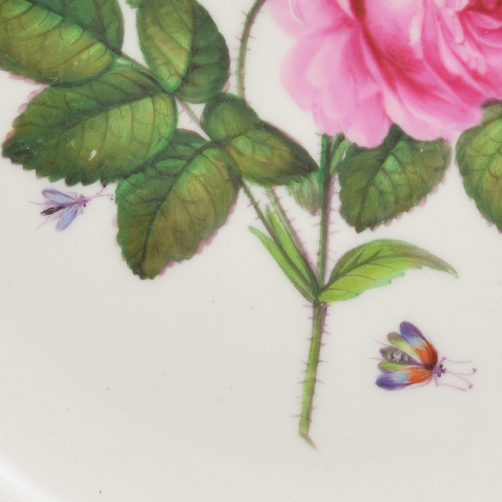 A Georgian Bloor Derby porcelain dessert plate with an apple green rim, a painted Marquess coronet crest, and a central hand-painted pink rose with insects. View V