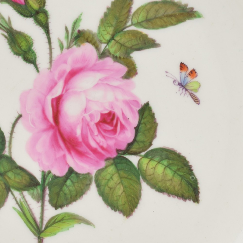 A Georgian Bloor Derby porcelain dessert plate with an apple green rim, a painted Marquess coronet crest, and a central hand-painted pink rose with insects. View VI