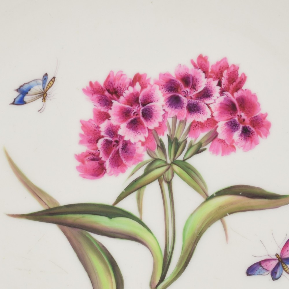 A Regency Bloor Derby porcelain plate featuring an apple green border with a marquess armorial crest, surrounding a central hand-painted illustration of pink Sweet William flowers and butterflies. View IV