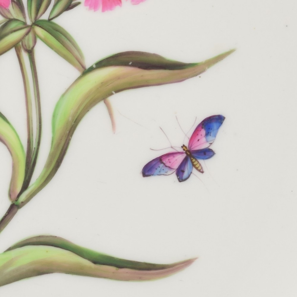 A Regency Bloor Derby porcelain plate featuring an apple green border with a marquess armorial crest, surrounding a central hand-painted illustration of pink Sweet William flowers and butterflies. View VI