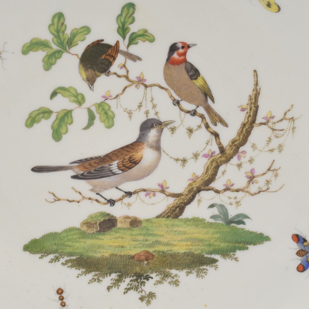 A circular white porcelain dish painted with detailed birds perched on a branch surrounded by small insects and framed by a blue foliate border. View III