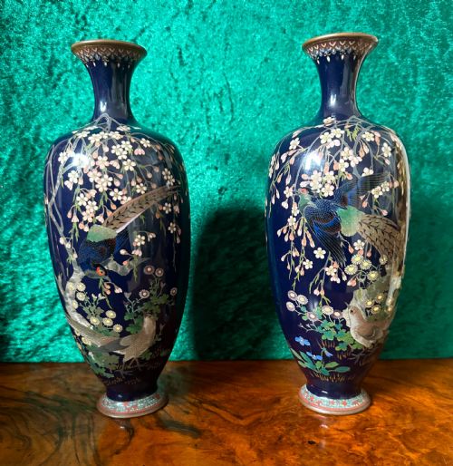 A Pair of Japanese Vases Circa 1900. Cloisonne