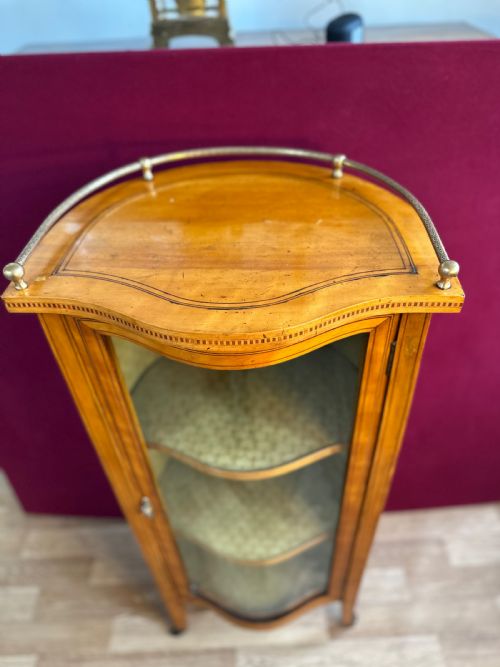 VICTORIAN VITRINE CIRCA 1875 DISPLAY CABINET - ADDITIONAL PHOTO 1