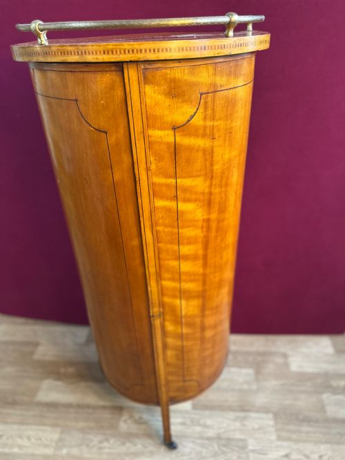 VICTORIAN VITRINE CIRCA 1875 DISPLAY CABINET - ADDITIONAL PHOTO 3