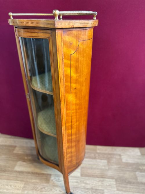 VICTORIAN VITRINE CIRCA 1875 DISPLAY CABINET - ADDITIONAL PHOTO 5