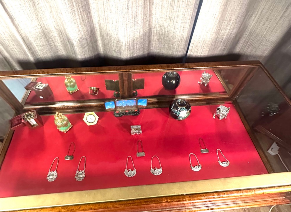 A late 19th-century mahogany table vitrine featuring clear glass panels, a red velvet interior base, tapered legs, and decorative gilt-bronze mounts. View XI