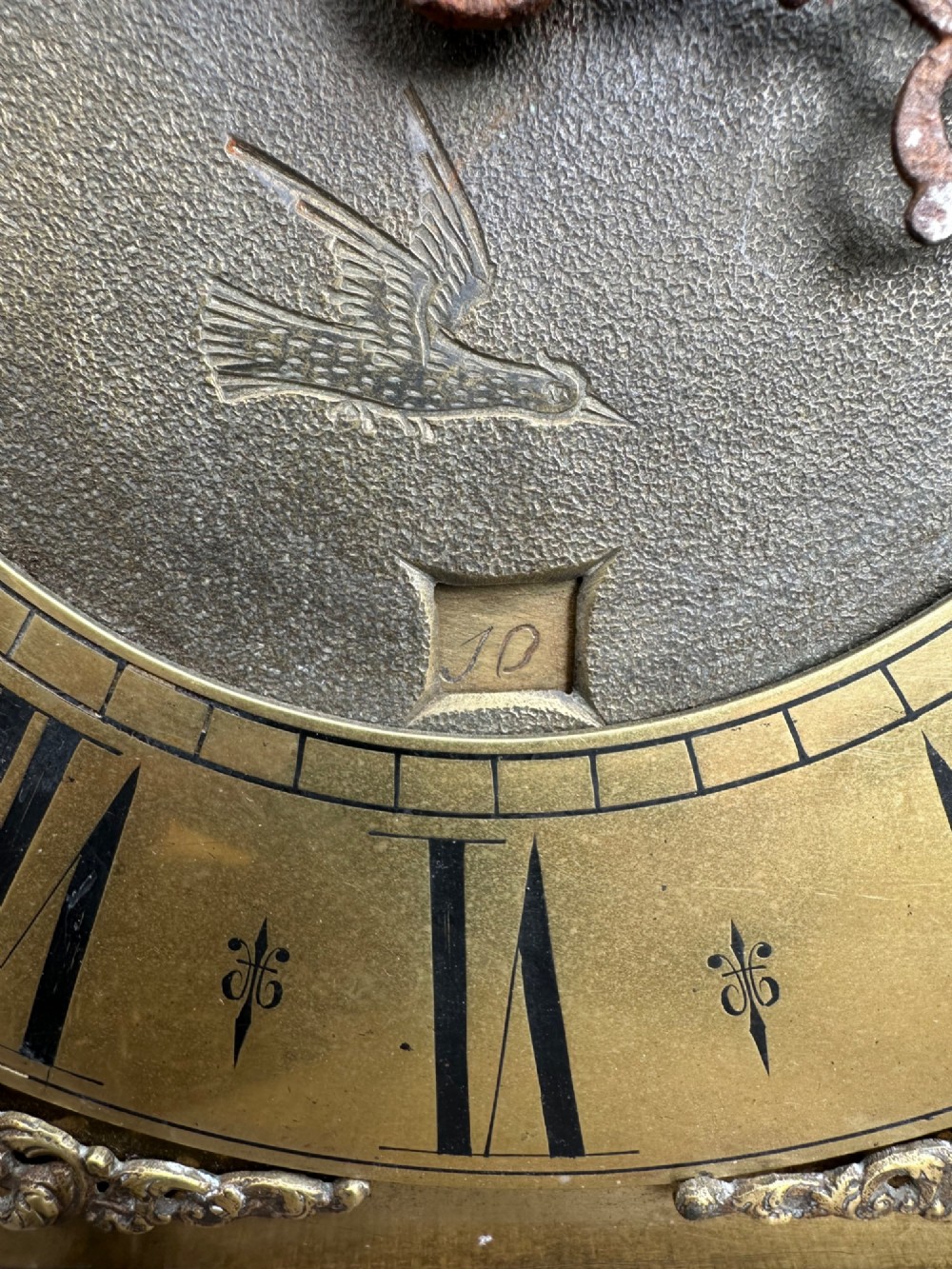 Alternate View
