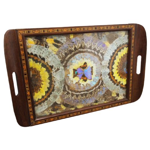 Brazilian Butterfly Tray