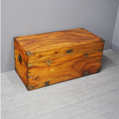 Anglo-chinese Camphorwood Campaign Trunk