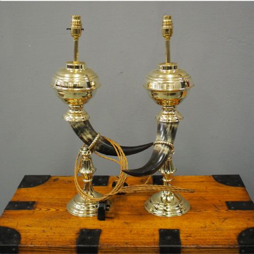 Pair of Bovine Horn and Brass Lamps