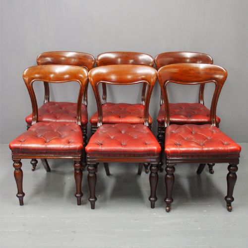 Set of 6 Edinburgh Style Mahogany Dining or Library Chairs