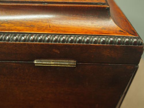 SCOTTISH MAHOGANY SARCOPHAGUS WINE COOLER - ADDITIONAL PHOTO 8