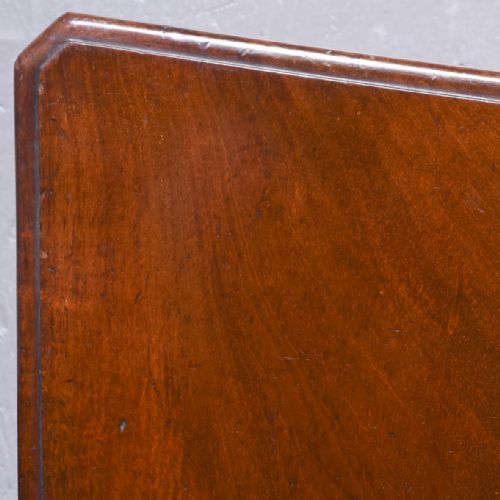 PAIR OF GEORGE IV MAHOGANY HALL CHAIRS - ADDITIONAL PHOTO 5