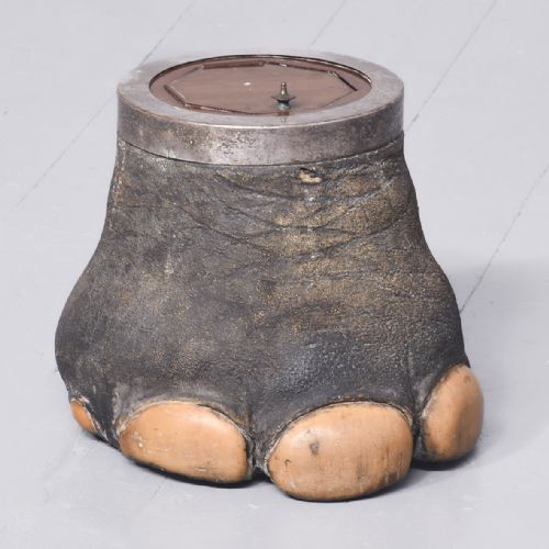 A Taxidermist Elephant Foot