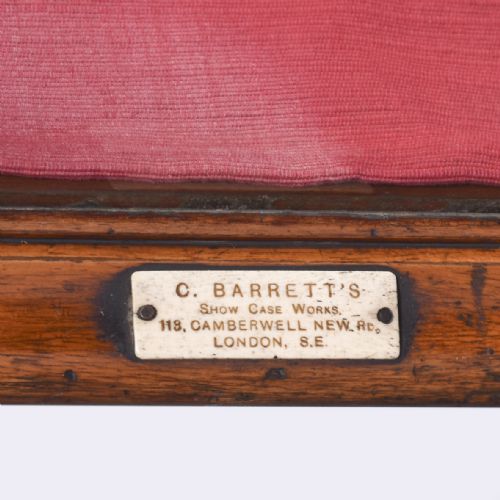 VICTORIAN MAHOGANY SHOP SHOWCASE - ADDITIONAL PHOTO 2