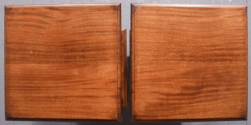 TALL PAIR OF VICTORIAN MAHOGANY CABINETSLAMPSTANDS - ADDITIONAL PHOTO 8
