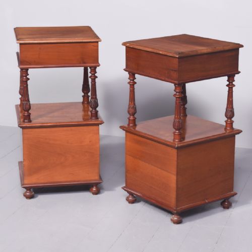 TALL PAIR OF VICTORIAN MAHOGANY CABINETSLAMPSTANDS - ADDITIONAL PHOTO 9