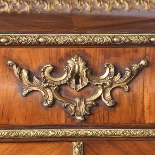 ORMOLU MOUNTED KINGWOOD CABINET - ADDITIONAL PHOTO 5