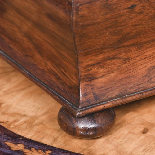 WILLIAM IV SARCOPHAGUSSHAPED ROSEWOOD JEWELLERY BOX - ADDITIONAL PHOTO 1