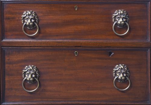 WILLIAM IV NEATSIZED MAHOGANY CELLARETTE IN THE FORM OF A CHEST OF DRAWERS - ADDITIONAL PHOTO 3