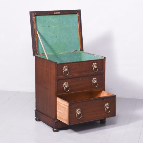 WILLIAM IV NEATSIZED MAHOGANY CELLARETTE IN THE FORM OF A CHEST OF DRAWERS - ADDITIONAL PHOTO 4