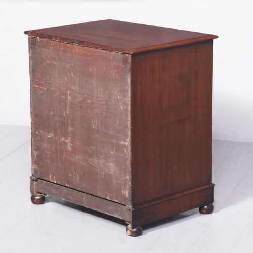 WILLIAM IV NEATSIZED MAHOGANY CELLARETTE IN THE FORM OF A CHEST OF DRAWERS - ADDITIONAL PHOTO 6