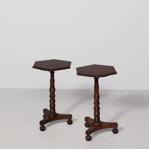 Rare Pair of William IV Neat-sized Occasional/wine Tables on Beautiful Bases