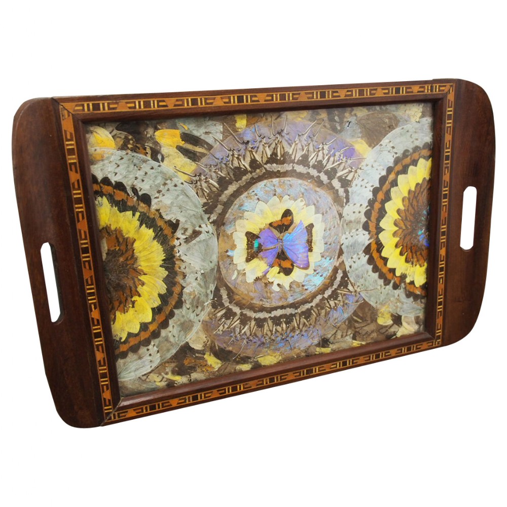 Brazilian Butterfly Tray