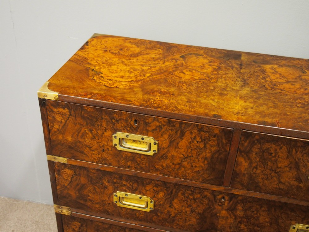 Victorian Walnut and Burr Walnut Military Chest View III