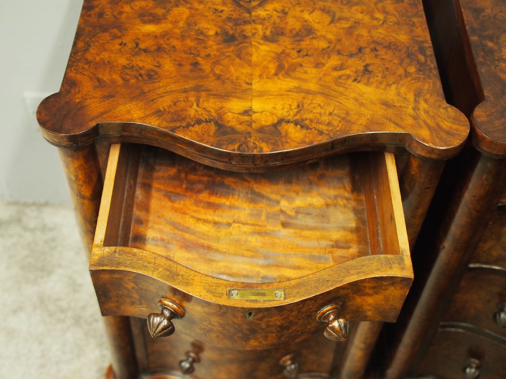 Pair of Victorian Burr Walnut Bedsides or Lockers View XI