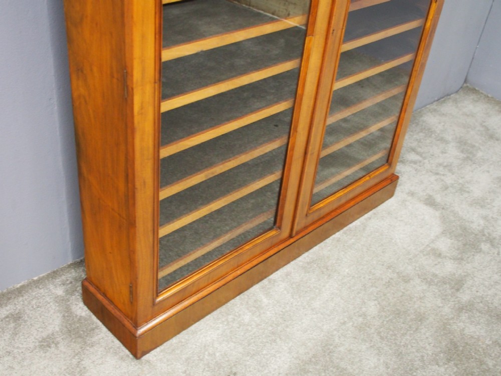 Victorian Walnut Collectors Cabinet View VI