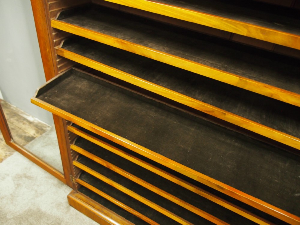 Victorian Walnut Collectors Cabinet View VIII