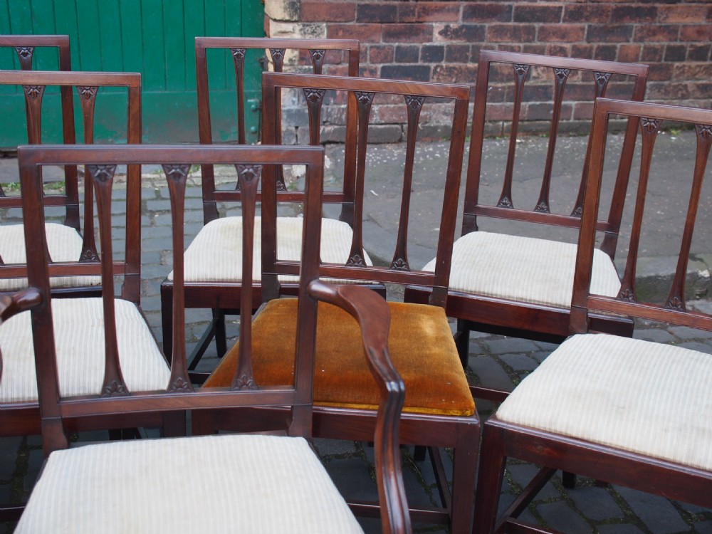 Set of 12 Scottish George III Mahogany Dining Chairs View VIII