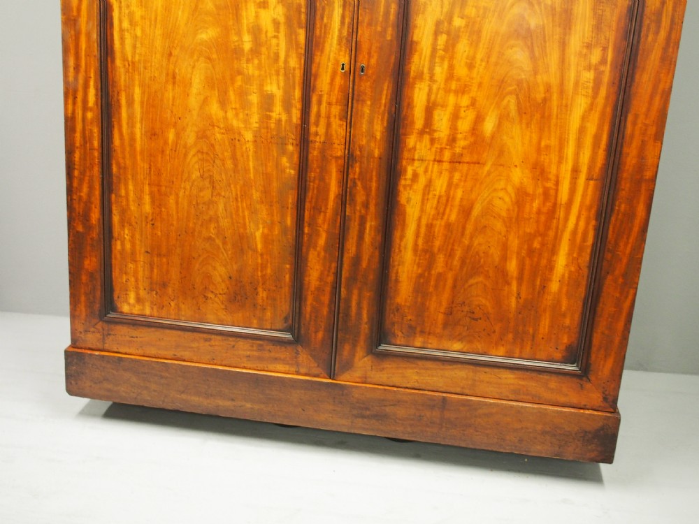 William IV Mahogany 2 Door Wardrobe View VI