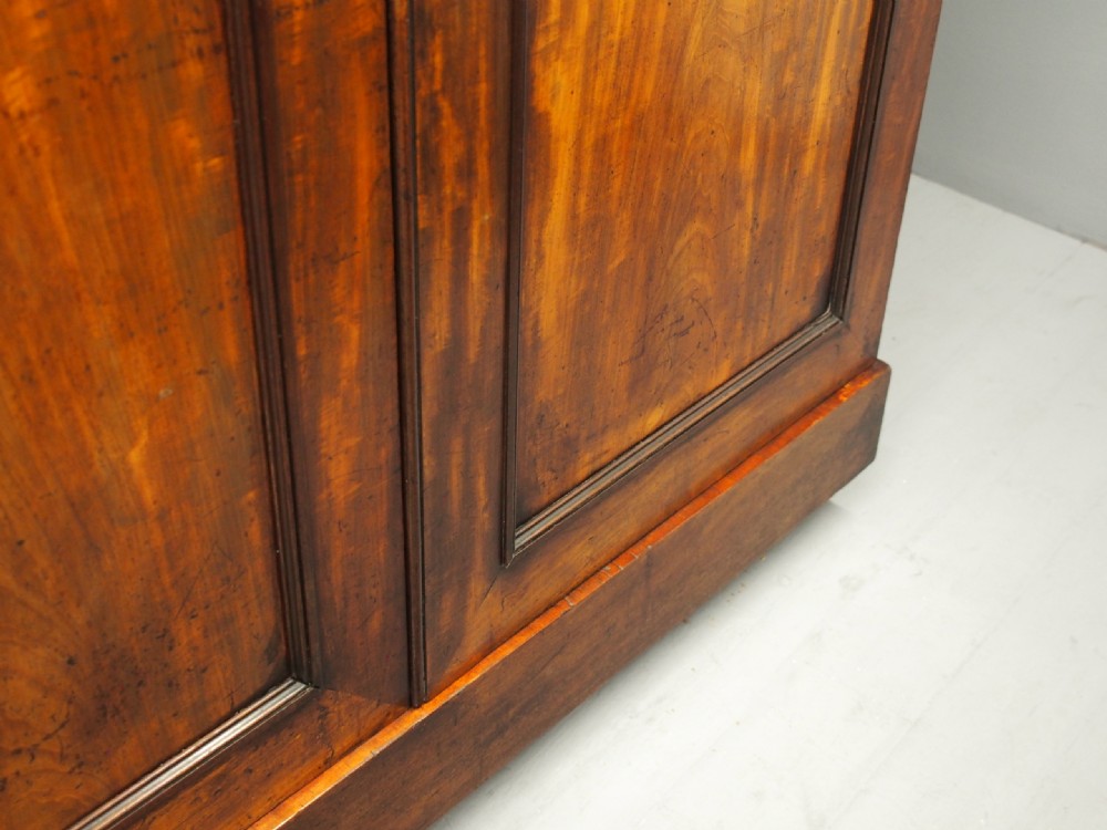 William IV Mahogany 2 Door Wardrobe View VIII