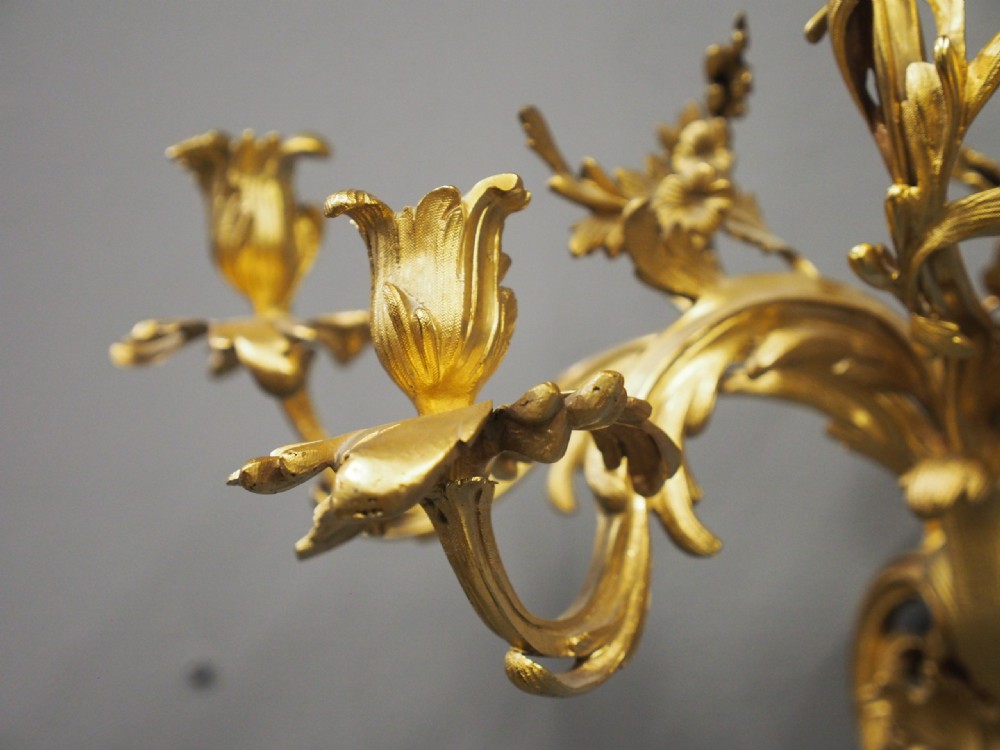 Cast Bronze and Ormolu Wall Sconce View IX