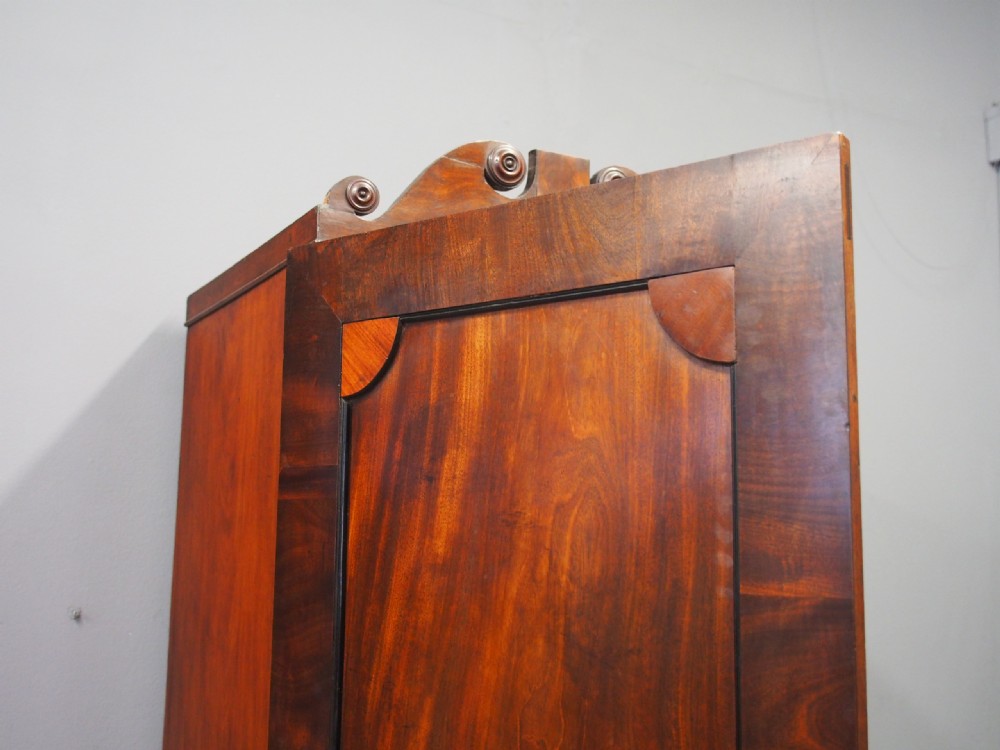 George IV Mahogany Single Wardrobe View VI