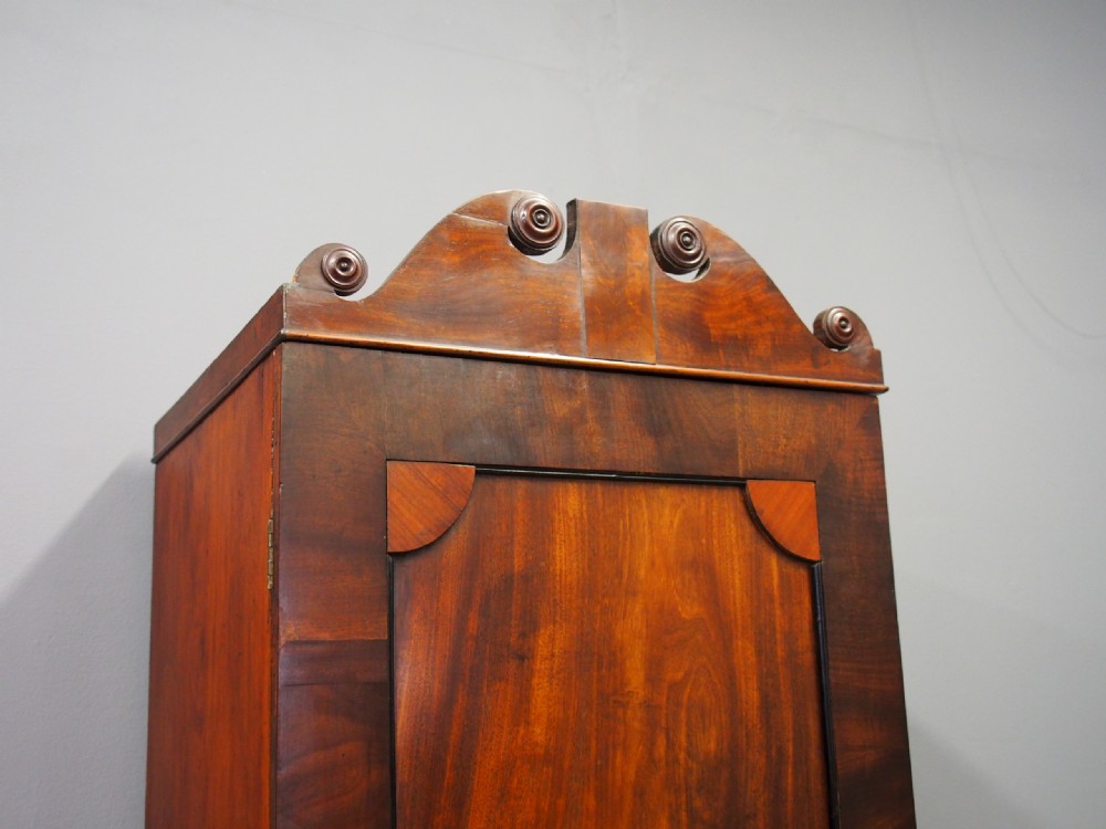 George IV Mahogany Single Wardrobe View VIII