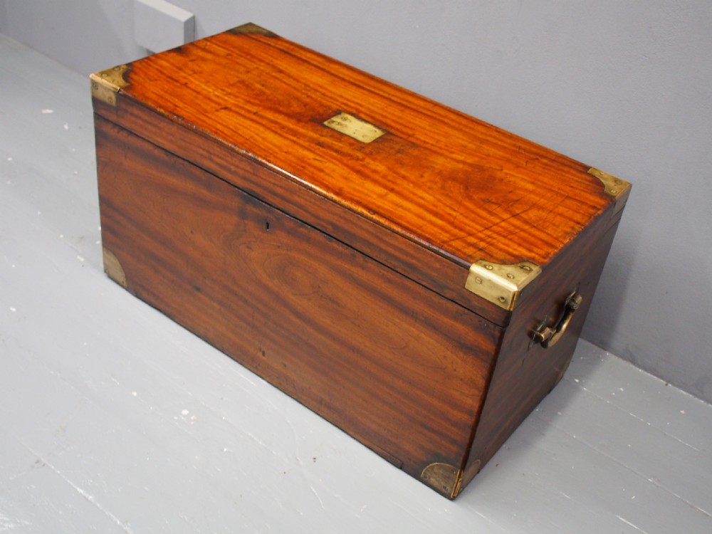 Victorian Camphor Wood Trunk View III
