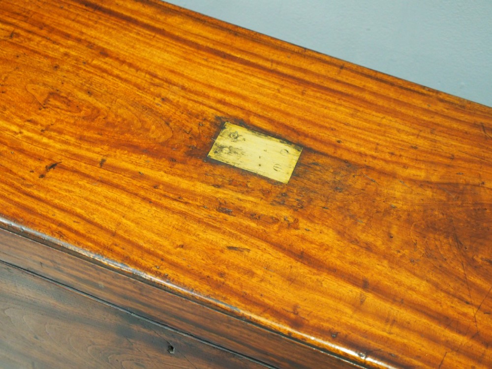 Victorian Camphor Wood Trunk View VII