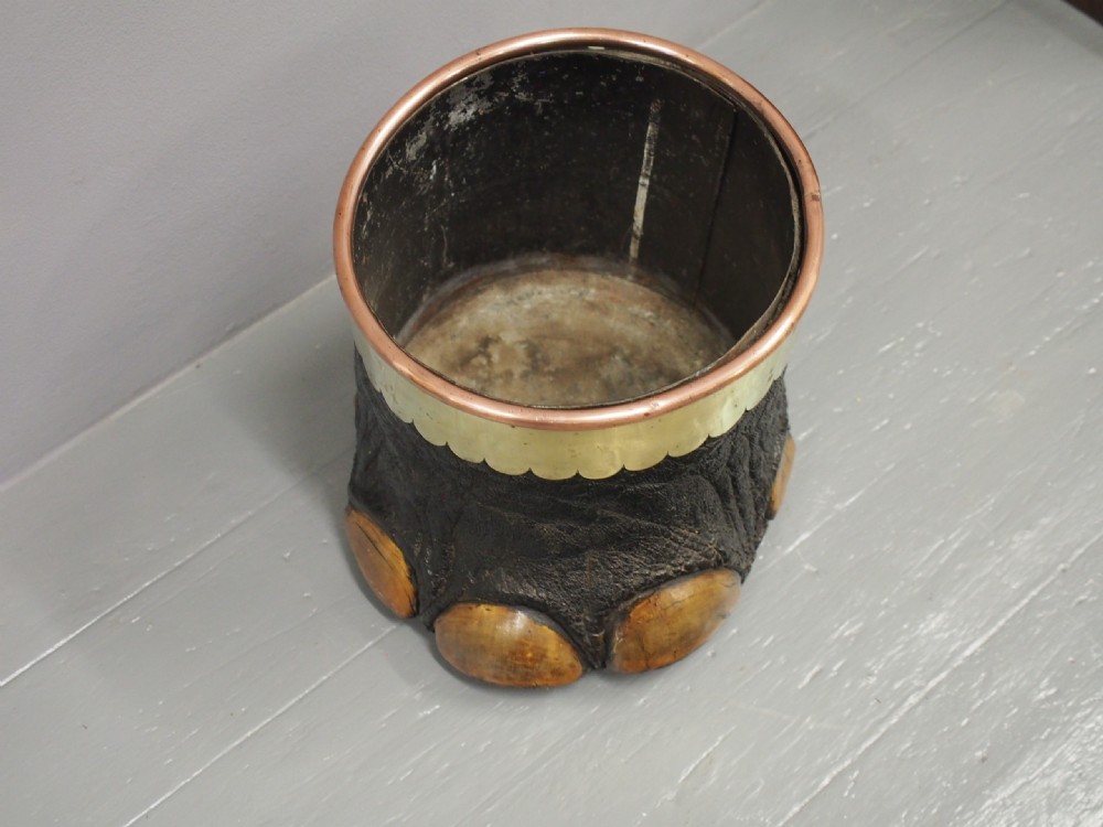 Elephant Foot Waste Paper Bin View IV
