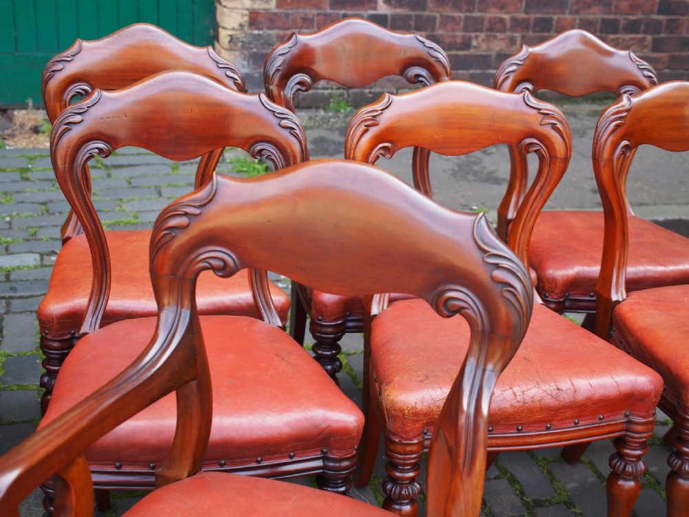 Set of 14 Scottish Mahogany Dining Chairs View VIII