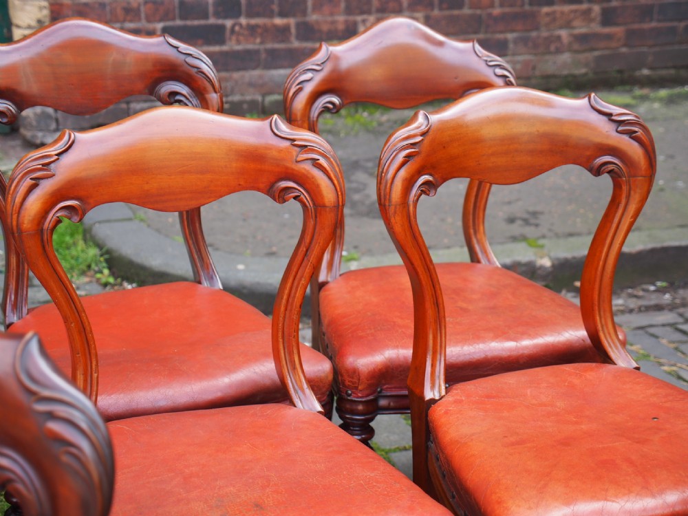 Set of 14 Scottish Mahogany Dining Chairs View IX