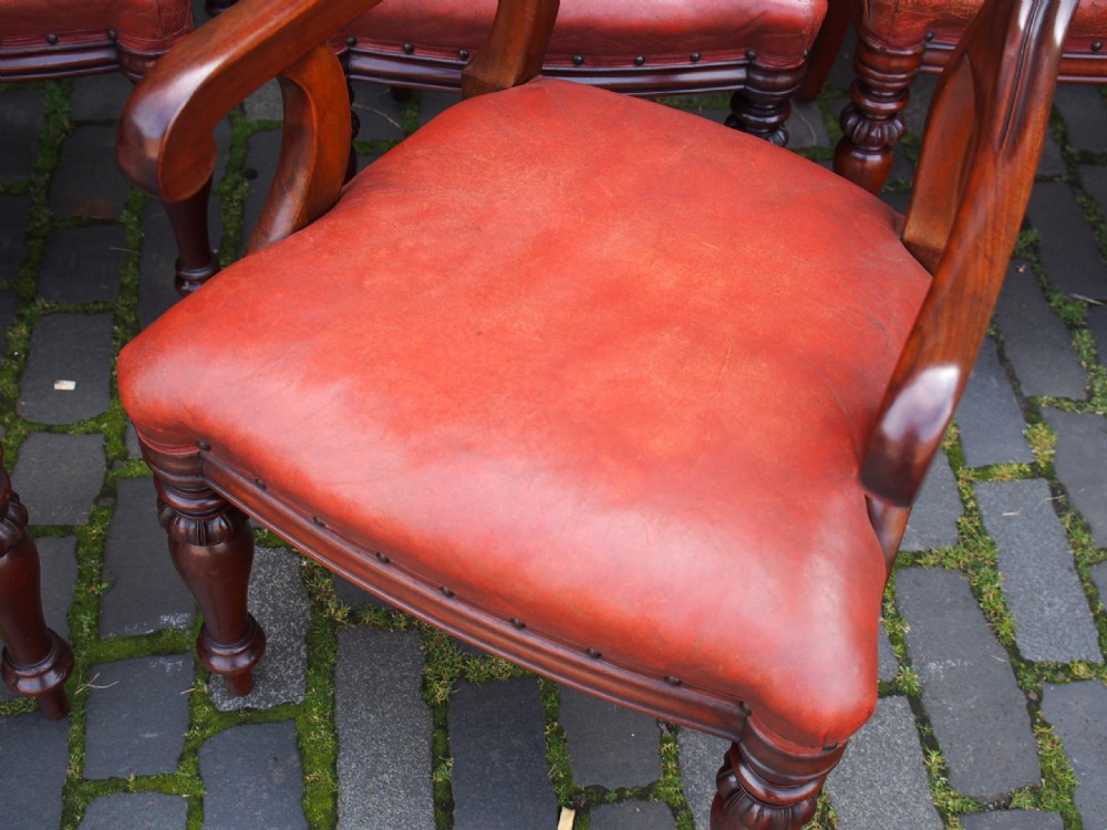 Set of 14 Scottish Mahogany Dining Chairs View X