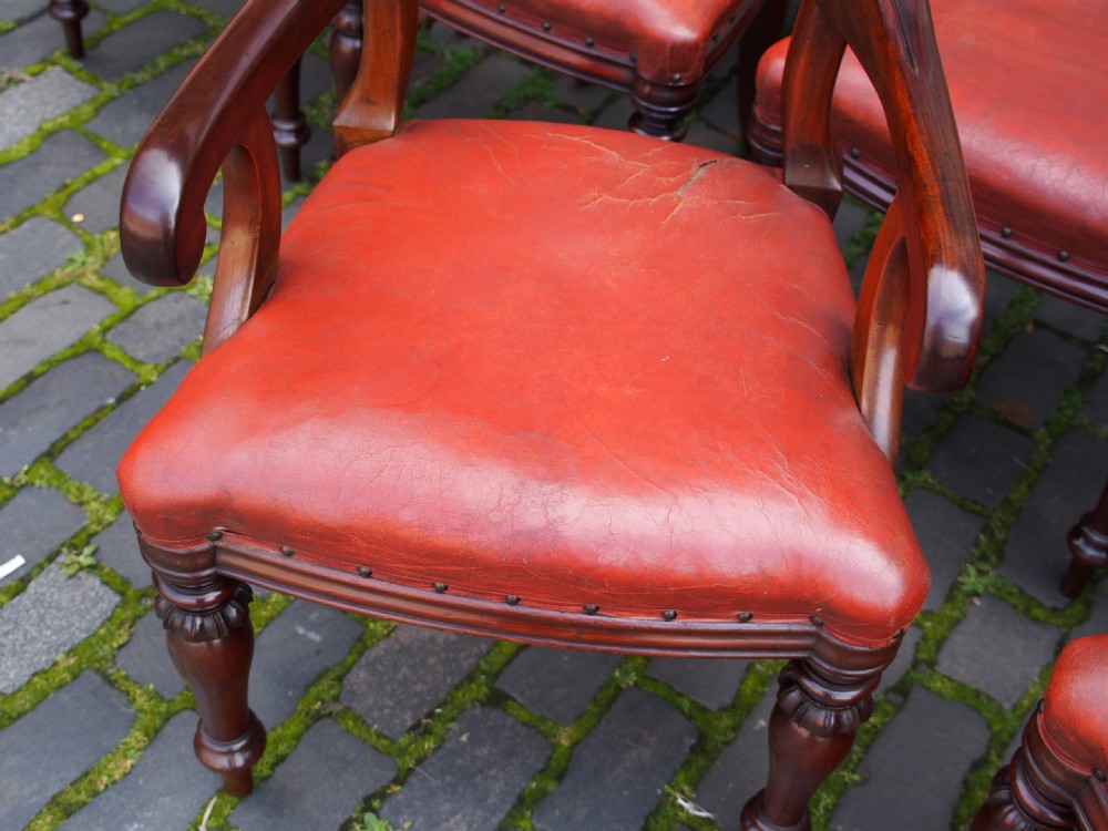 Set of 14 Scottish Mahogany Dining Chairs View XI