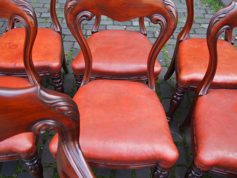 Set of 14 Scottish Mahogany Dining Chairs View XII