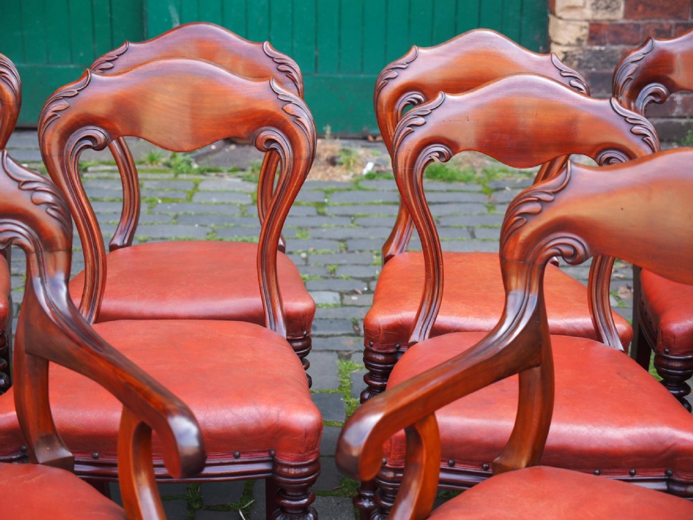 Set of 14 Scottish Mahogany Dining Chairs View XV