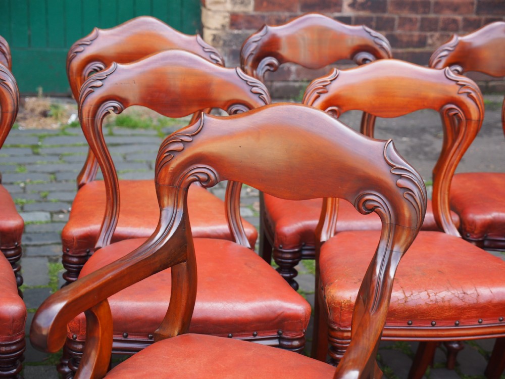 Set of 14 Scottish Mahogany Dining Chairs View XVI
