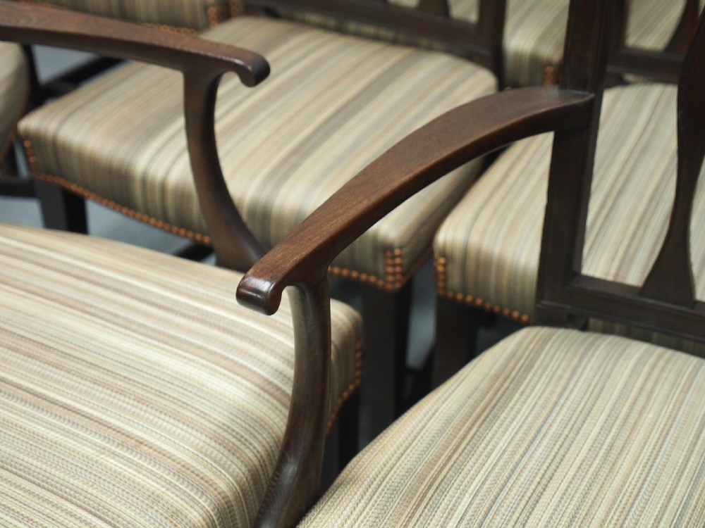 Set of 10 Scottish Laburnum Dining Chairs View VI