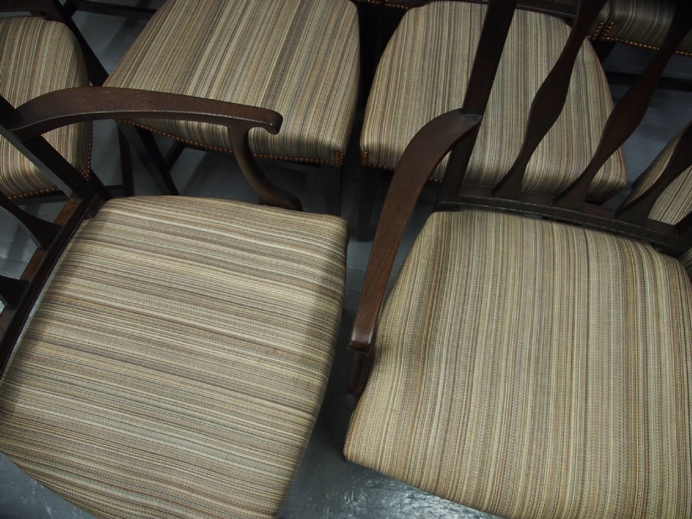 Set of 10 Scottish Laburnum Dining Chairs View IX